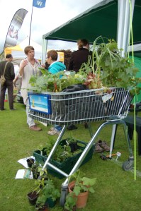 sustainability-show-0004