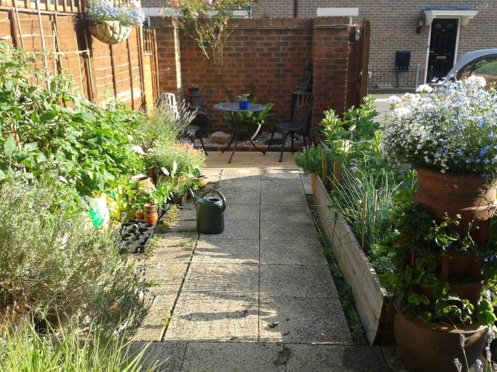 Growing in small spaces