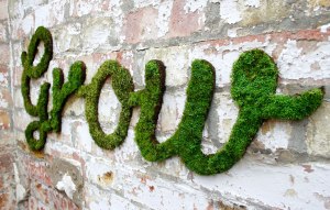 Grow by Anna Garforth