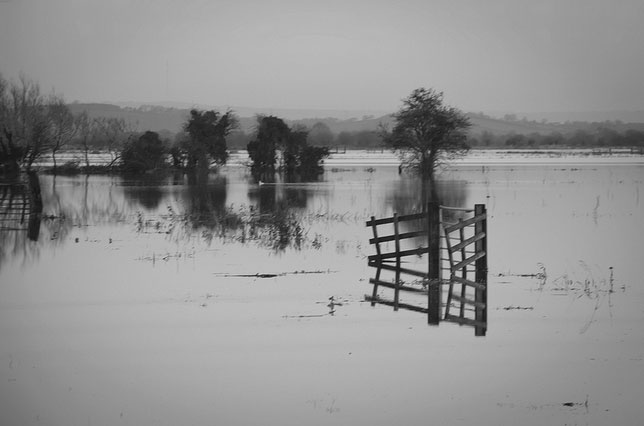 Flooded Somerset Levels - Mark Robinson (Flickr Creative Commons)