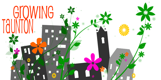 Growing Taunton