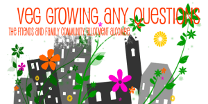 growing-minehead-adn-alcomb