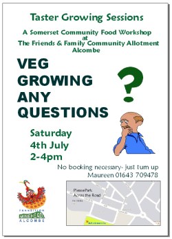 transition-minehead-veg-growing-any-questions