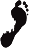 footprint-graphic